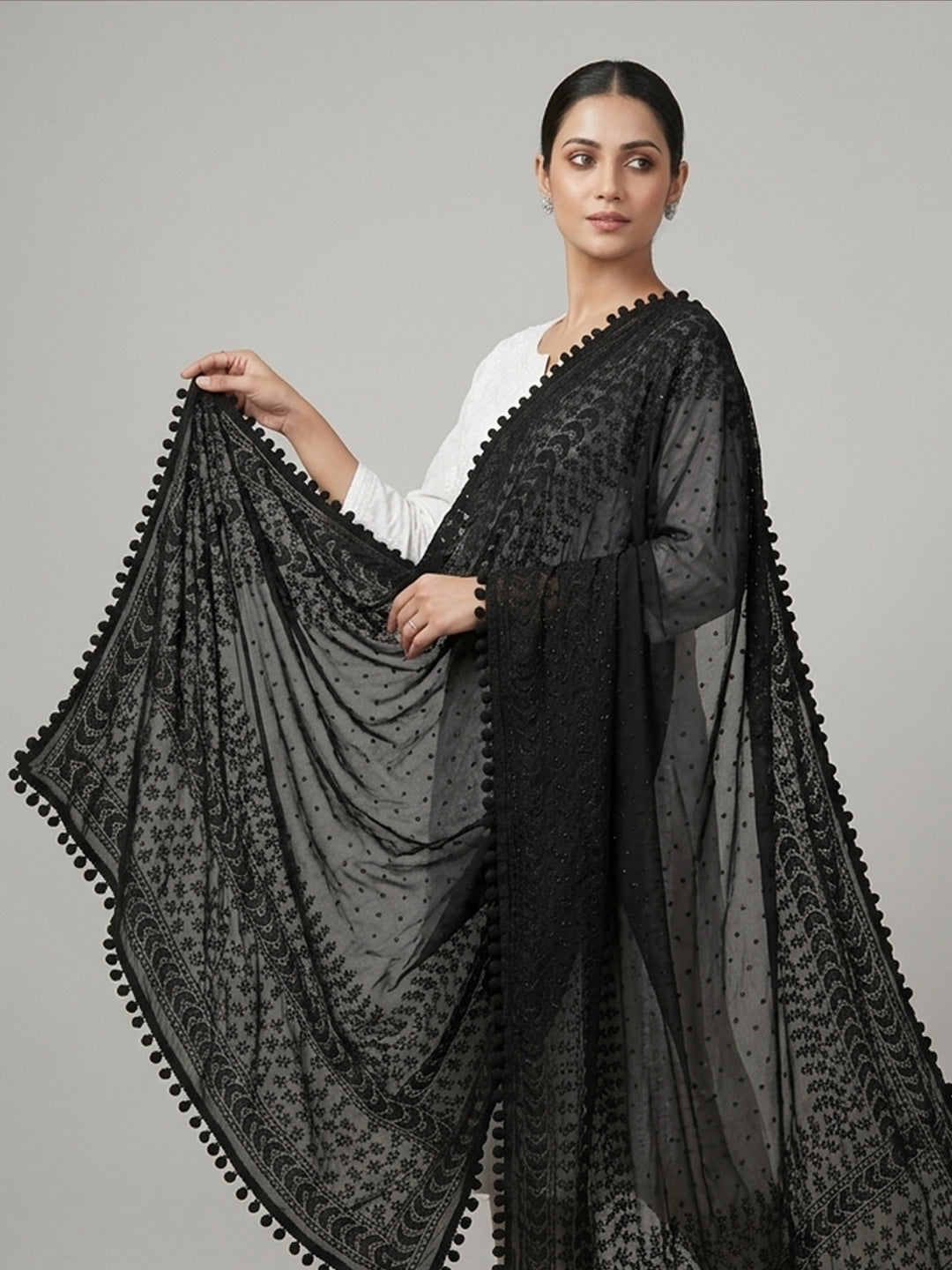Women Embroidered Georgette Dupatta-AL3721NEW Black