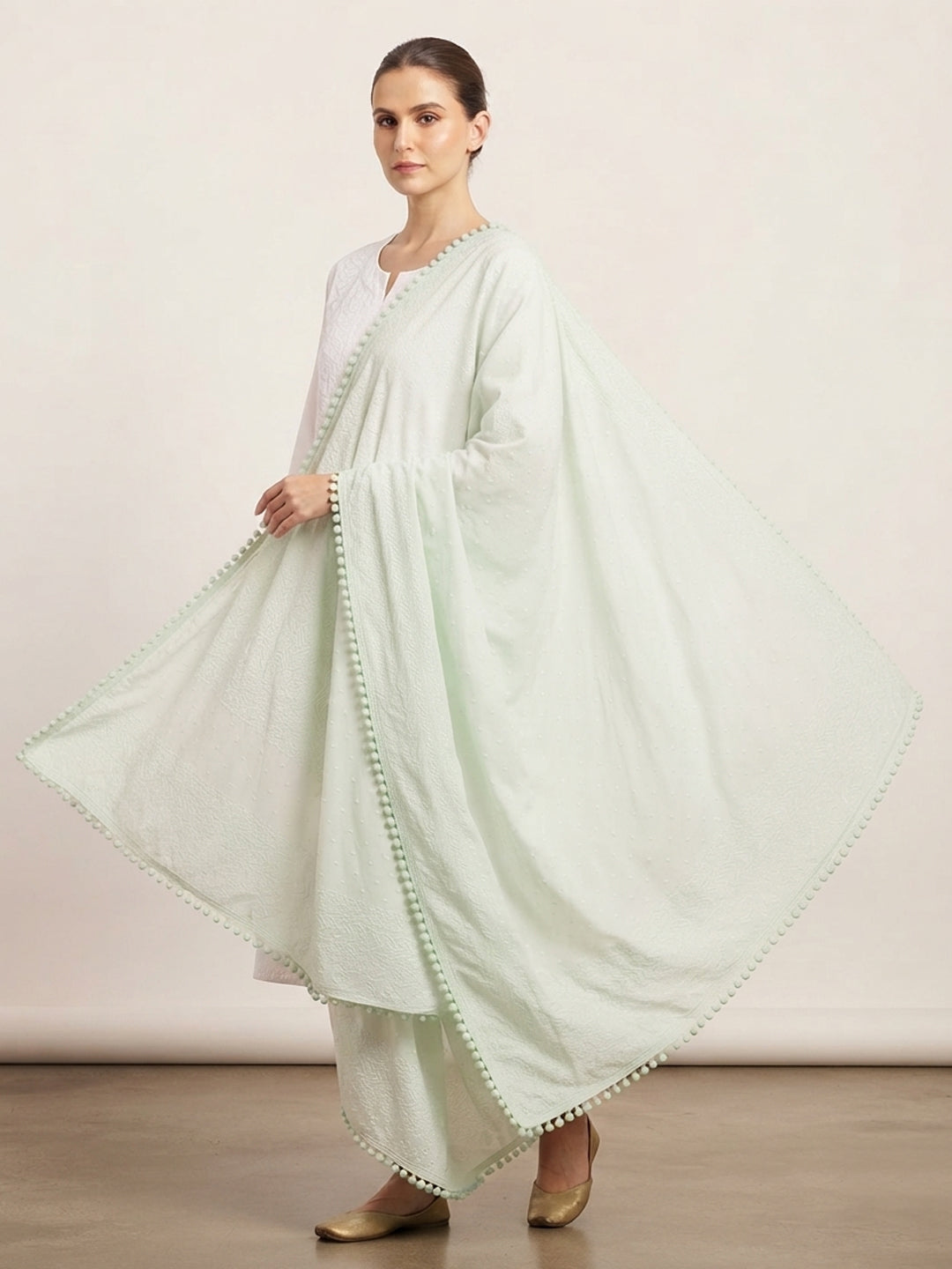 Women Embroidered Georgette Dupatta-AL3721NEW Seagreen