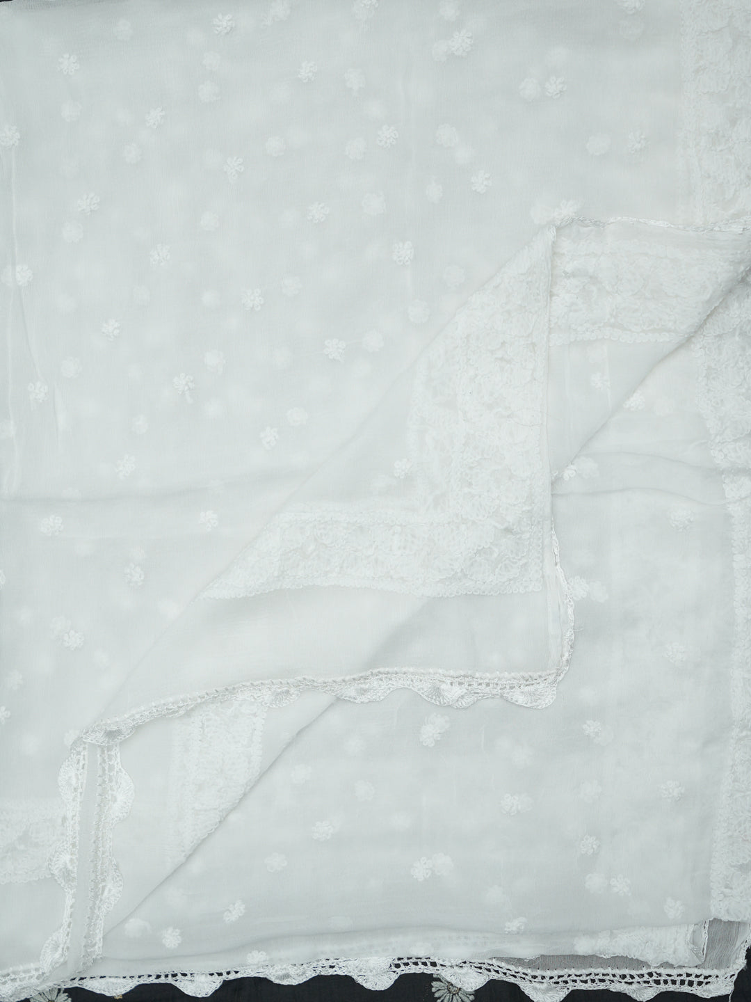 Women Hand Embroidered Chiffon Chikankari Dupatta-AL4097