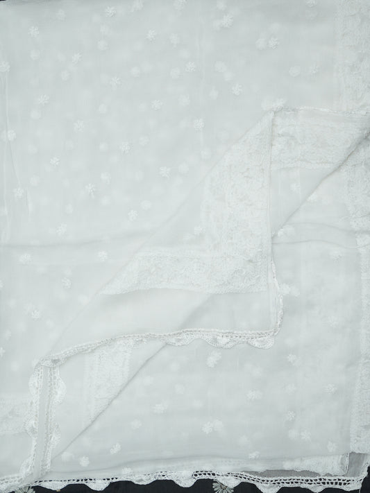 Women Hand Embroidered Chiffon Chikankari Dupatta-AL4097