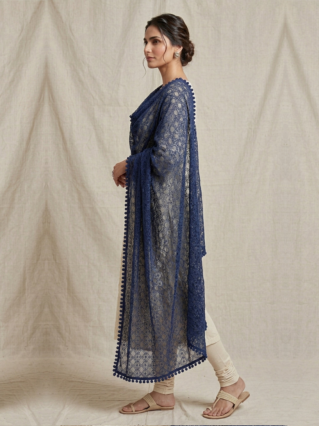 Women Embroidered Georgette Dupatta -AL3720